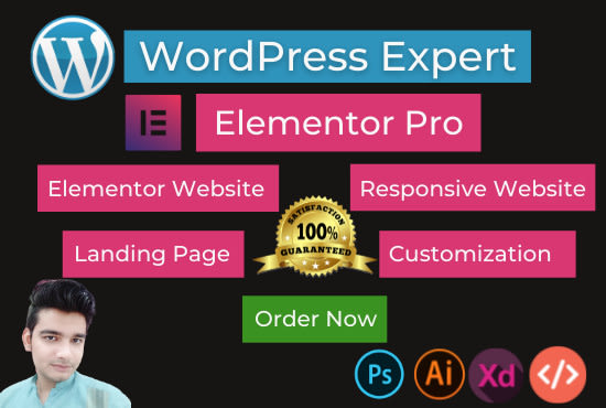 Gig Preview - Develop wordpress portfolio website, elementor pro landing page, wp expert