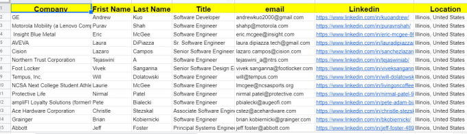 Gig Preview - Do software engineer and software developer email list