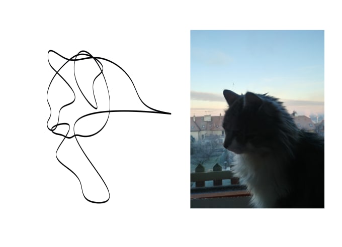 Gig Preview - Draw vector line art illustration of your pet from photo