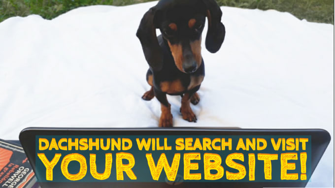 Gig Preview - Make this funny dog video ad in 24 hours for your website