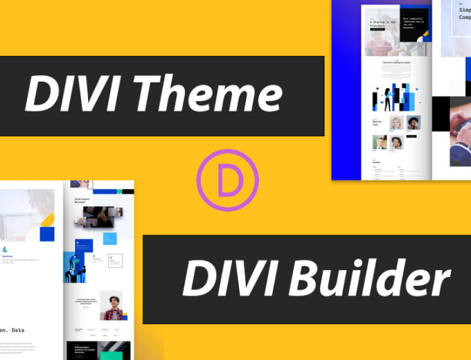 Gig Preview - Our agency will be your developer for wordpress divi theme or divi builder