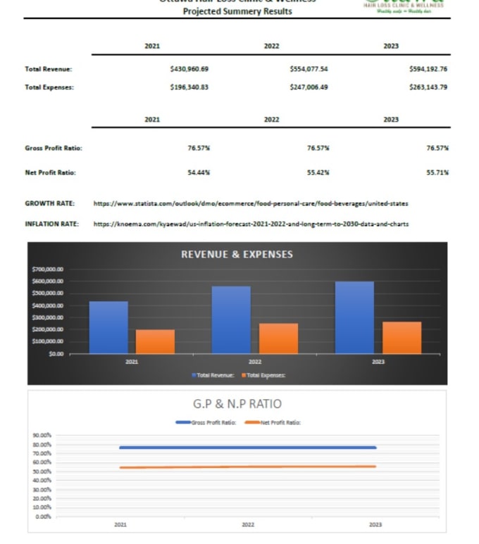 Gig Preview - Prepare financial forecast, projections, business plan and financial model