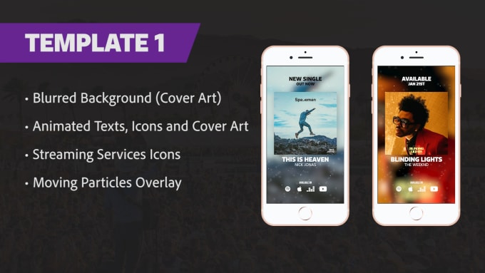 Gig Preview - Create clean music promo video for instagram stories in 24h