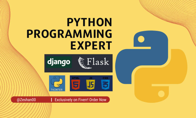 Gig Preview - Work on your python programming projects