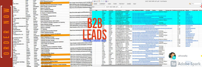 Gig Preview - Create b2b leads spreadsheet for any business, data mining