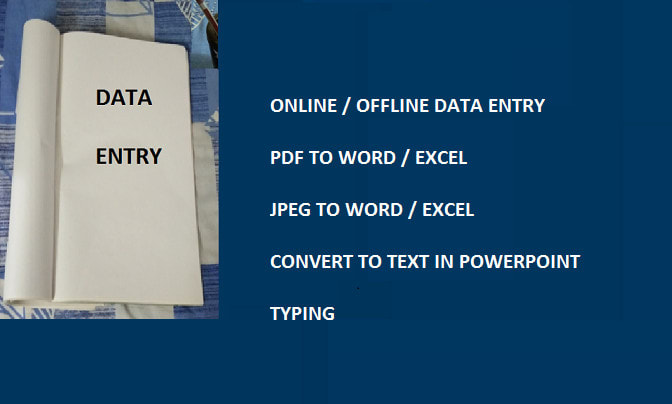 Gig Preview - Do data entry services