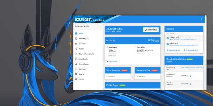 Gig Preview - Setup azuracast panel online radio server for you