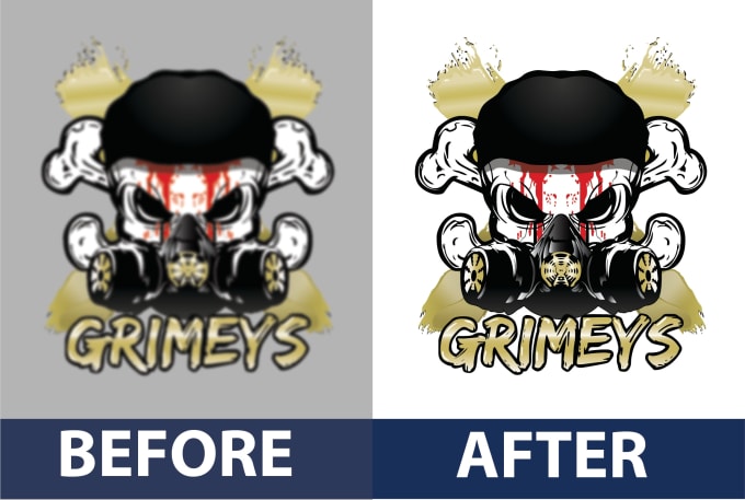 Gig Preview - Vectorize your complex image or logo professionally