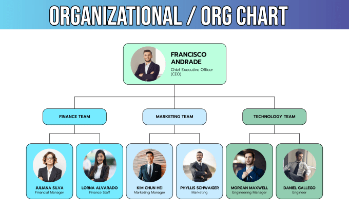 Gig Preview - Do modern org chart, flow chart, diagrams and infographics