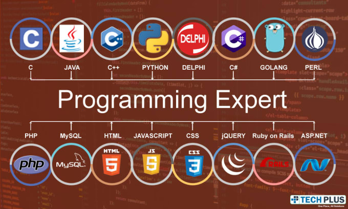 Gig Preview - Do java c cpp asp net csharp rust golang delphi perl ruby on rails lisp