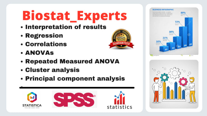 Gig Preview - Interpretation of regression, anovas, cluster and principal component analyses