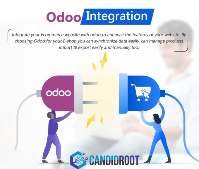 Gig Preview - Do odoo integration with third party API