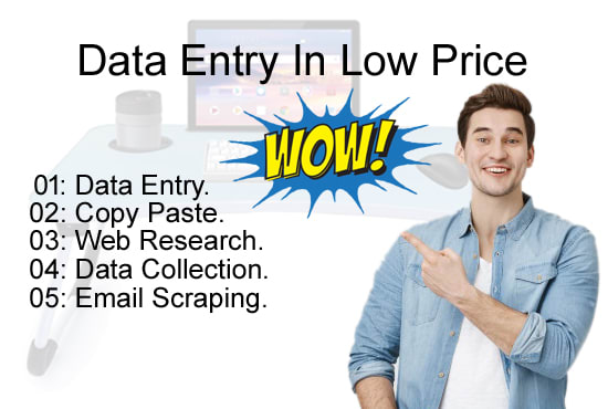 Gig Preview - Do data entry in low price