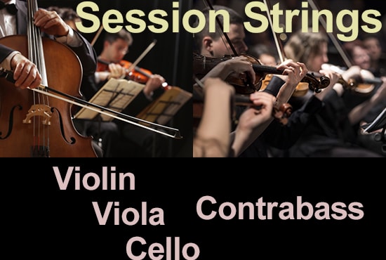 Gig Preview - String session recording, violin,viola, cello and contrabass