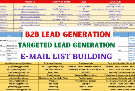 Gig Preview - Provide perfect  business leads generation