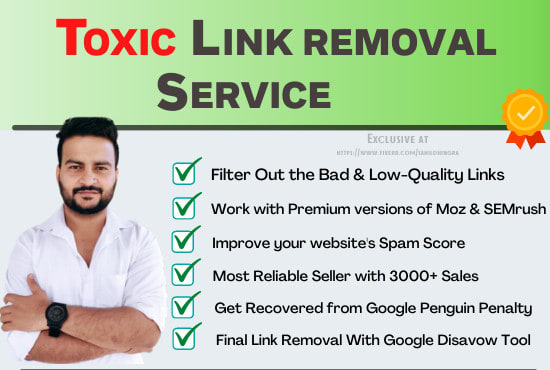 Gig Preview - Remove toxic and spammy bad backlinks and improve seo