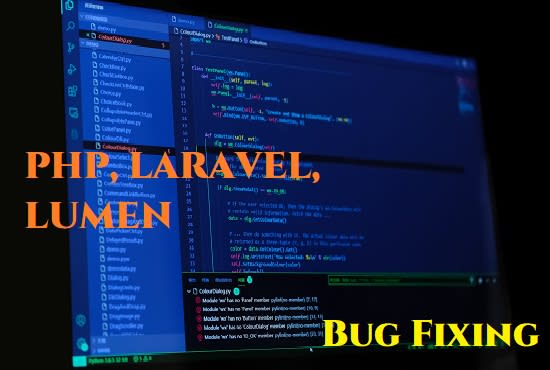 Gig Preview - Fix your PHP, laravel, and lumen project issues