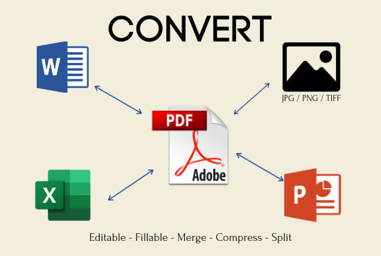 Gig Preview - Convert your PDF to and from word etc