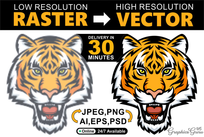 Gig Preview - Vectorize logo or image into a vector with ai, eps, cdr