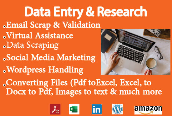 Gig Preview - Do your virtual assistant data entry scrap work in 24 hours