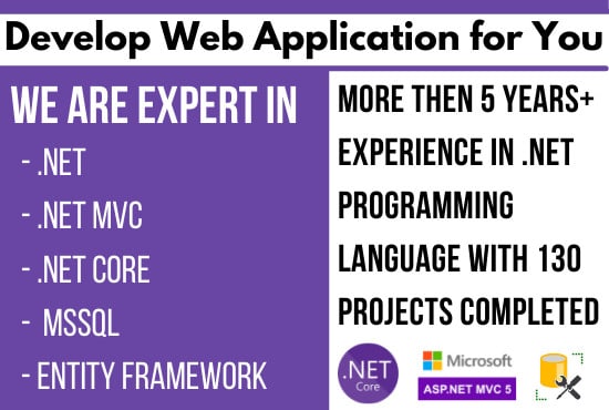 Gig Preview - Develop custom web application on asp net mvc, asp net core