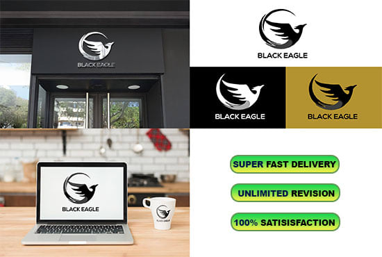 Gig Preview - Design a logo for your product or business in 24 hours