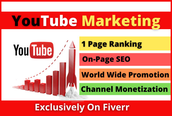 Gig Preview - Make youtube marketing and video SEO for your channel