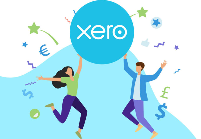 Gig Preview - Teach xero from a basic to an advance level