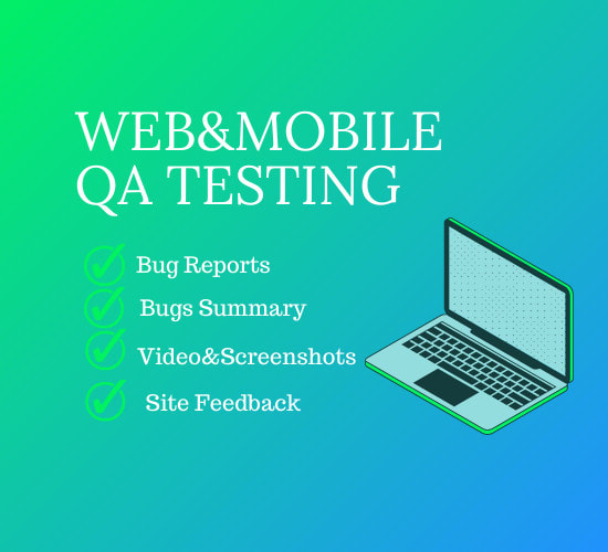 Gig Preview - Review and QA your website and application