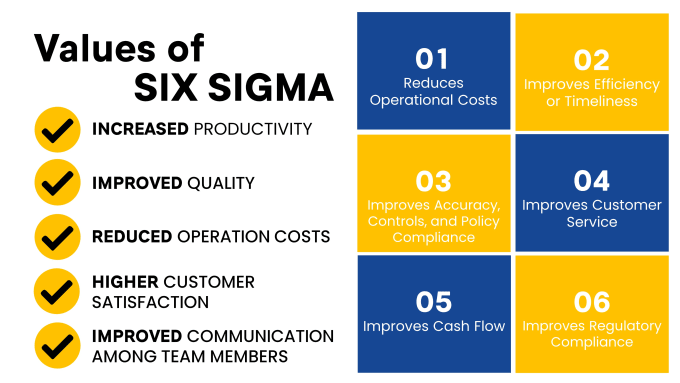 Gig Preview - Give learning slides for six sigma lessons