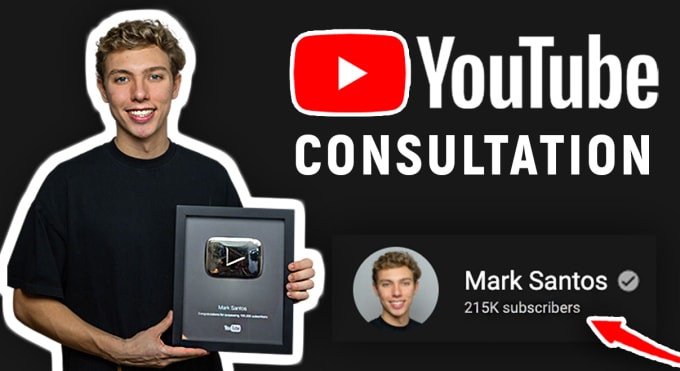 Gig Preview - Our agency will do video call consultation on how to grow on youtube