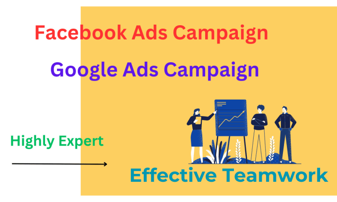 Gig Preview - Facebook ads and google ads campaign expert