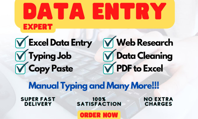 Gig Preview - Do perfect data entry typing work in excel spreadsheet, copy paste, web research