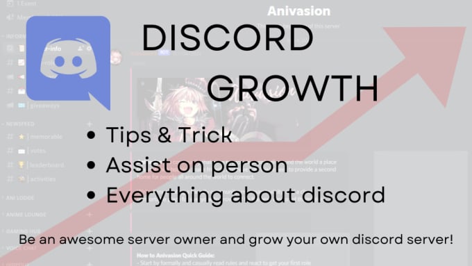 Gig Preview - Give you the best guide on how to build your discord server