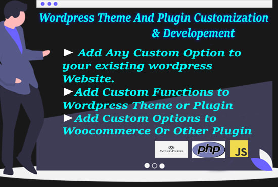 Gig Preview - Develop, edit, modify extra functionalities on your wordpress theme or plugin