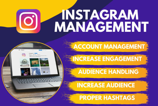 Gig Preview - Manage your social media instagram business account