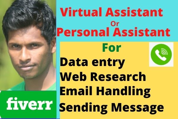 Gig Preview - Be your virtual assistant for data entry, web research