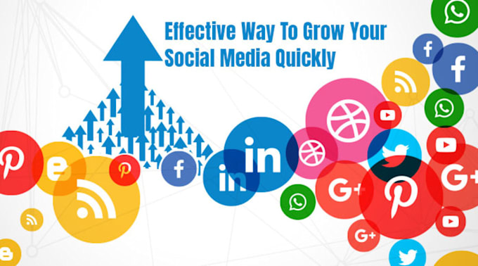 Gig Preview - Make proven strategies to accelerate your social media growth