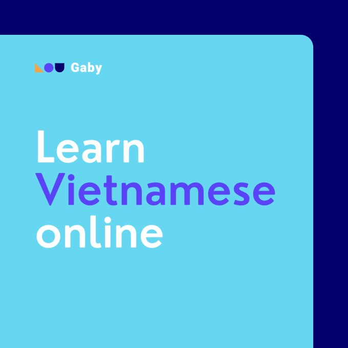 Gig Preview - Teach you the basics and practice vietnamese