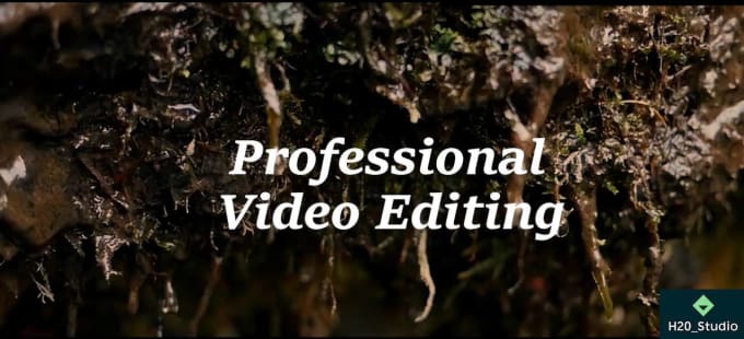 Gig Preview - Professionally edit your raw footage