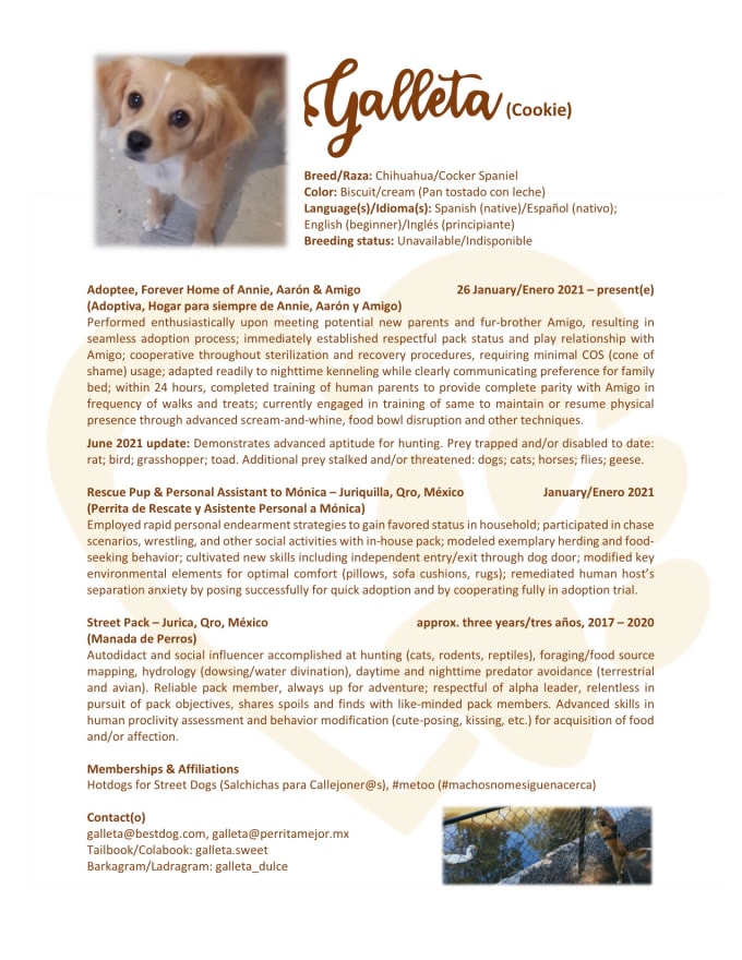 Gig Preview - Create a resume for your pet