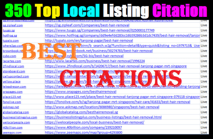 Gig Preview - Do 400 USA local citations for local SEO