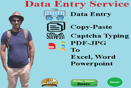 Gig Preview - Provide data entry service with quality gurantee