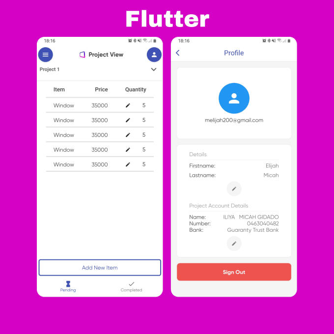 Gig Preview - Build fast flutter application