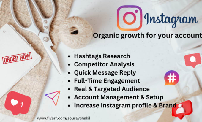 Gig Preview - Instagram organic growth for your account