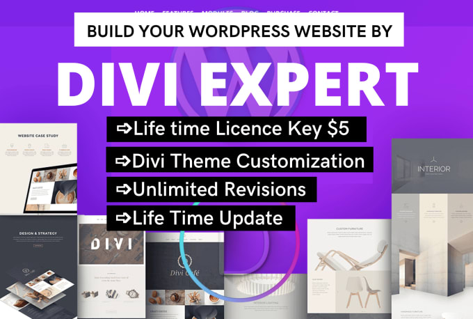 Gig Preview - Design unique wordpress website with divi theme