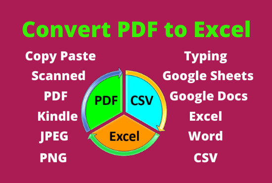 Gig Preview - Do accurately convert PDF to excel, CSV or google sheet