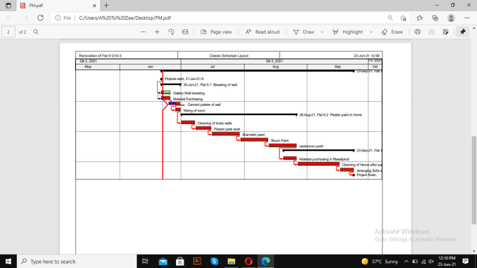 Gig Preview - Create project schedule, gantt chart, network diagram in primavera p6,ms project