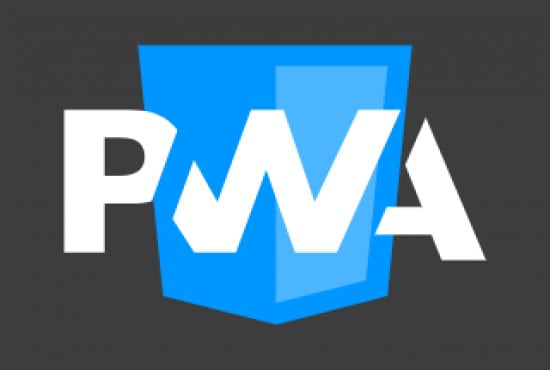 Gig Preview - Convert your static and wordpress website into pwa