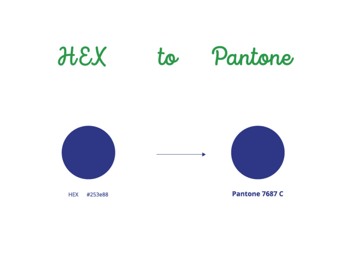 Gig Preview - Convert hex to pantone color code converter